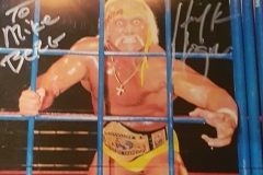 Hulk Hogan