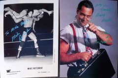 IRS - Mike Rotunda