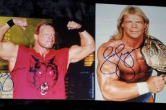 Lex Luger