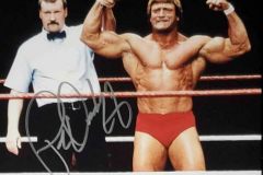 Paul Orndorff