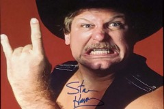 Stan Hansen