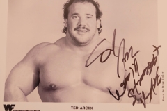 Ted Arcidi